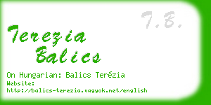 terezia balics business card